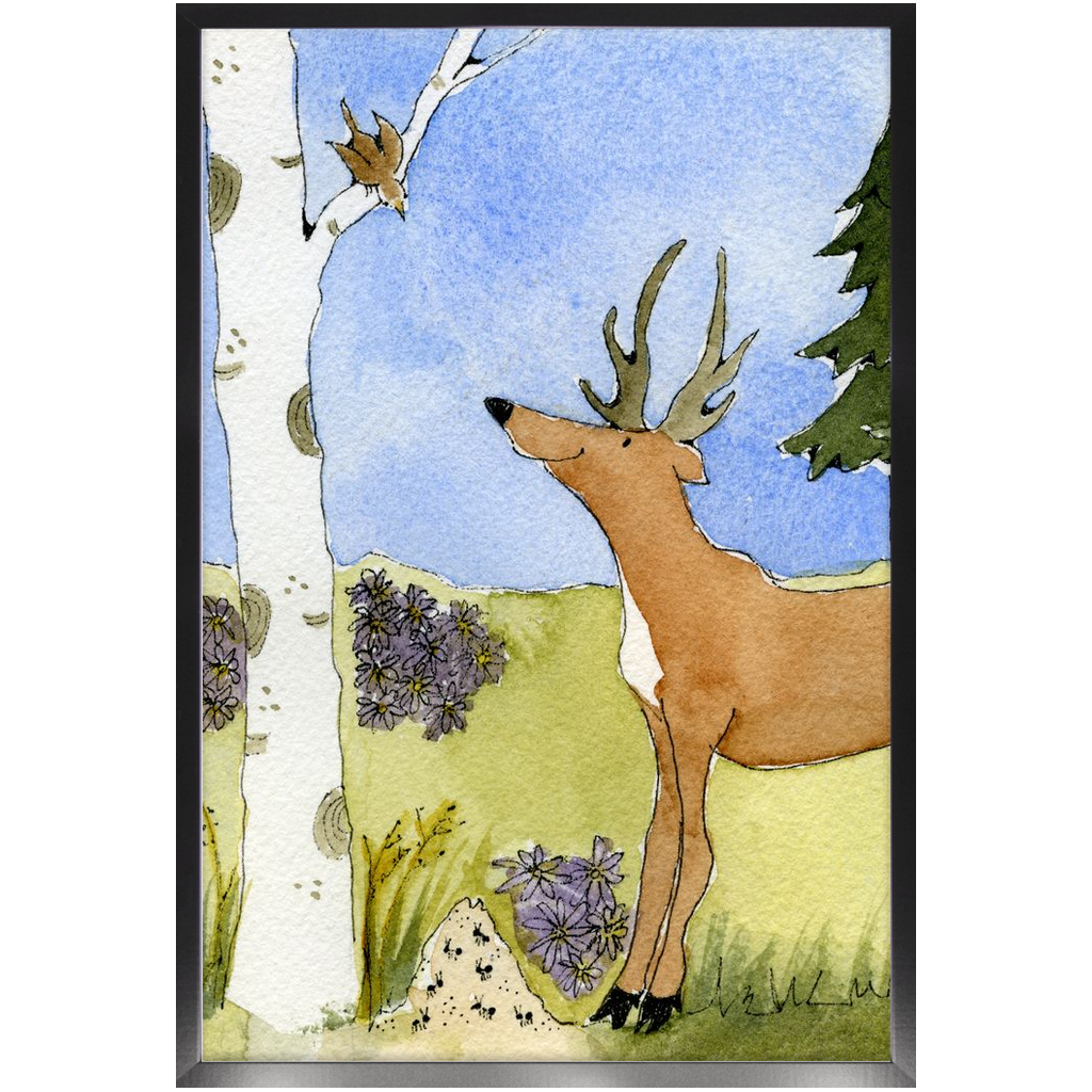 Alpine Wildflowers Framed Print – Colorado Asters & Aspen