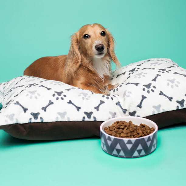 Dog Beds