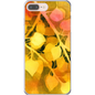Golden Aspen  iPhone Case