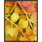 Golden Aspen Framed Traditional Stretched Canvas