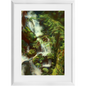 Forest Waterfall Framed Print