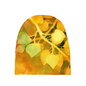 Golden Aspen Baby Beanie