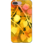 Golden Aspen  iPhone Case