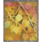 Golden Aspen Leaves Woven Blanket