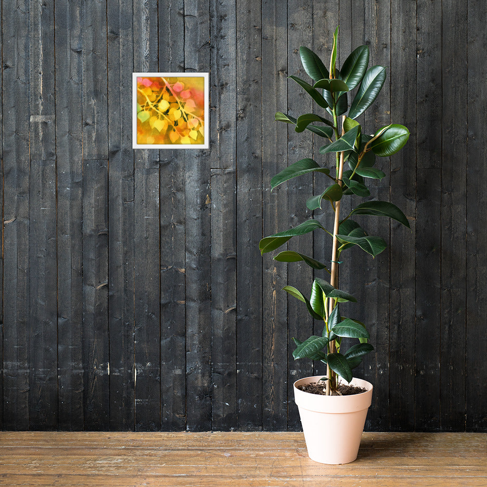 Aspen Leaves Framed Print