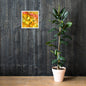 Aspen Leaves Framed Print