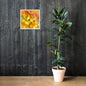 Aspen Leaves Framed Print