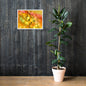 Aspen Leaves Framed Print